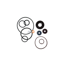 [APC22019] KIT BH 8695 633 003 RENAULT / VOLVO BBA TANDEM C/BBA GASOIL