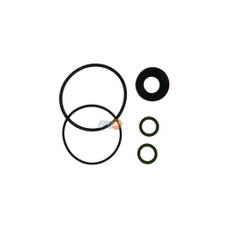 [APC22304] KIT REP BBA EJE 19 SAGINAW